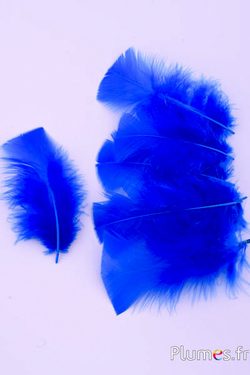 Dinde - 6-8 cm - bleu